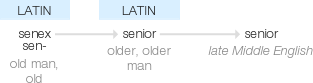 senior